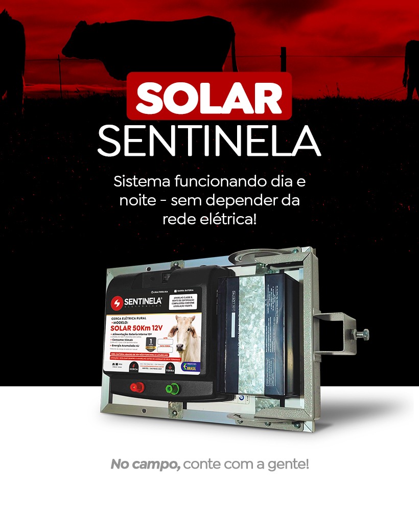 solar 2025